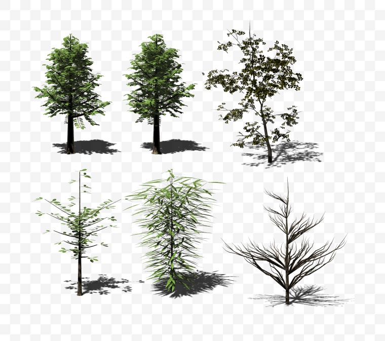 树 树素材 大树 小树 树的图片 树木 