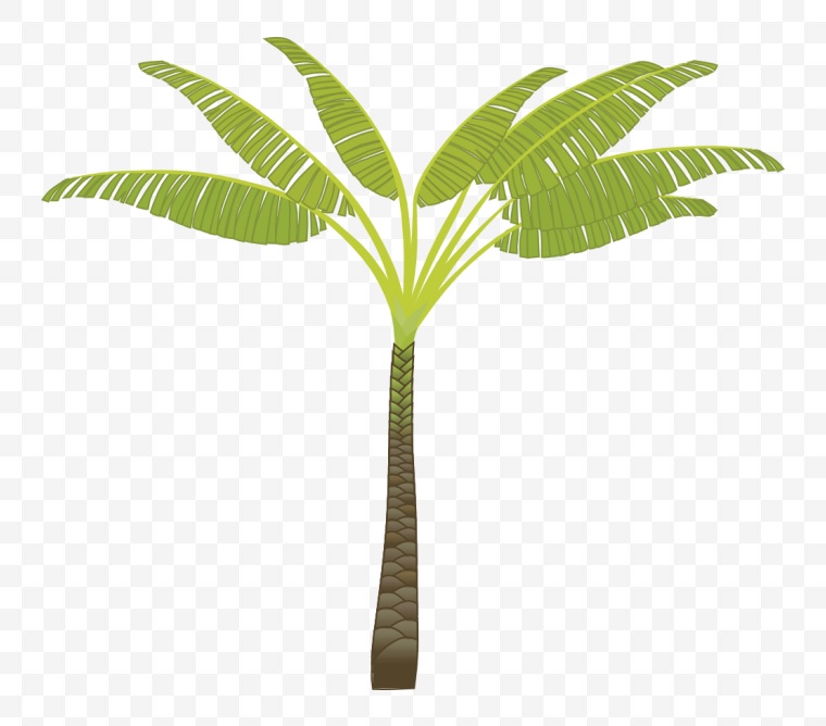 椰树 椰树素材 卡通椰树 树 椰树图片 椰树png 海滩椰树 夏季 夏天 