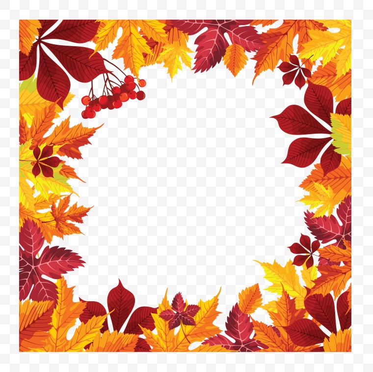 树叶 秋季 秋天 叶子 树叶素材 秋天素材 叶子素材 秋季素材 