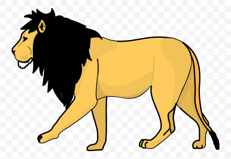 狮子 雄狮 动物 万兽之王 