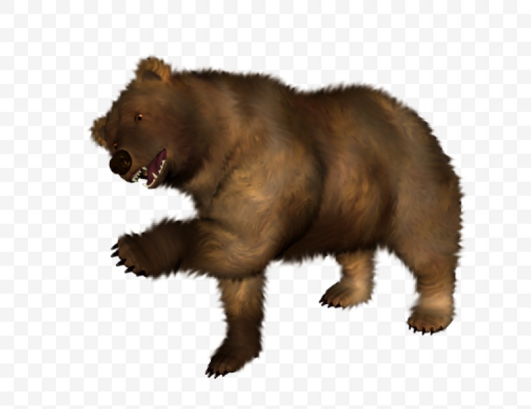 熊 黑熊 动物 