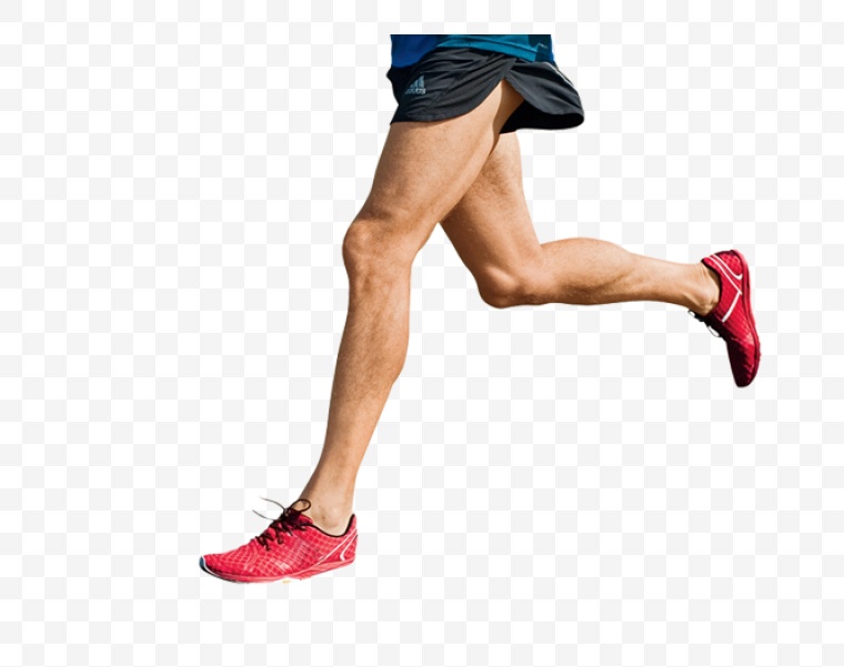 腿 男人的腿 跑步 运动 健身 