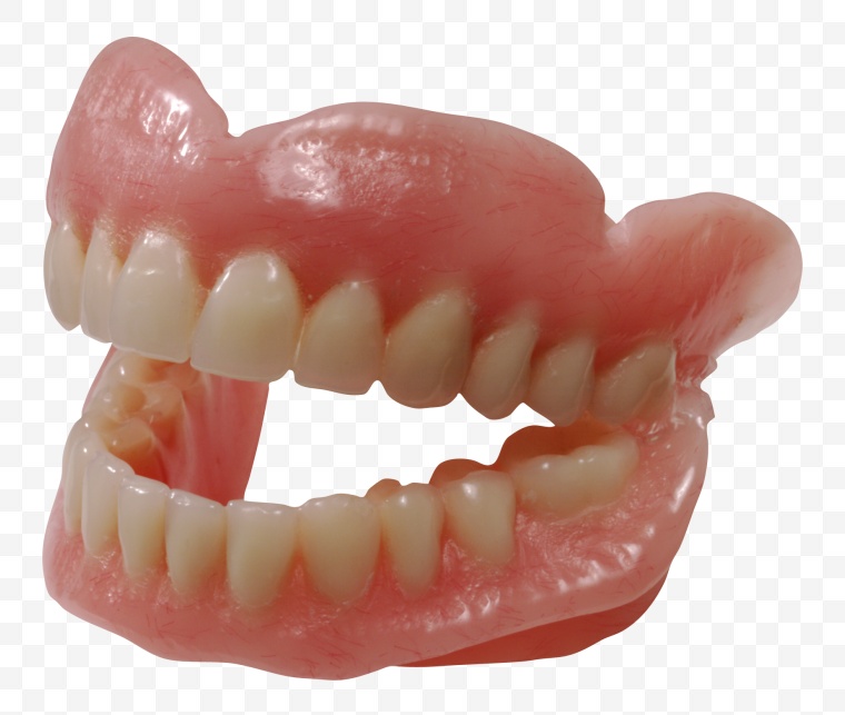 牙齿 牙科 牙 牙龈 医疗保健 