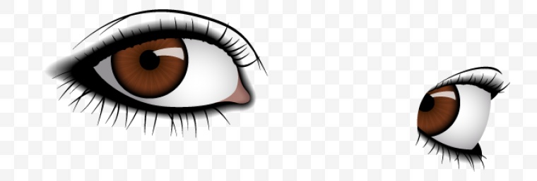 眼睛 视力 人物眼睛 人眼 眼 五官 人体五官 