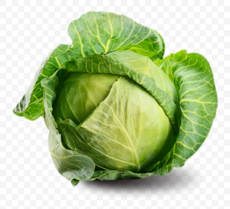 包心菜 包菜 卷心菜 蔬菜 绿色蔬菜 有机蔬菜 健康食品 绿色食品 