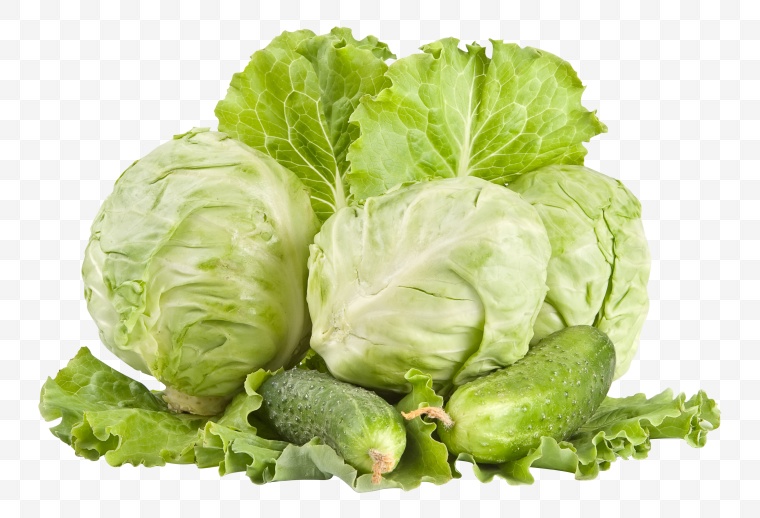 包心菜 包菜 卷心菜 蔬菜 绿色蔬菜 有机蔬菜 健康食品 绿色食品 