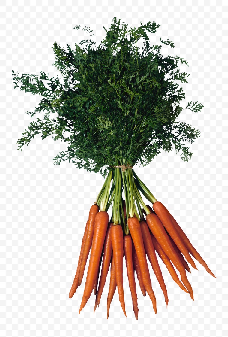 胡萝卜 蔬菜 红萝卜 萝卜 新鲜蔬菜 食材 