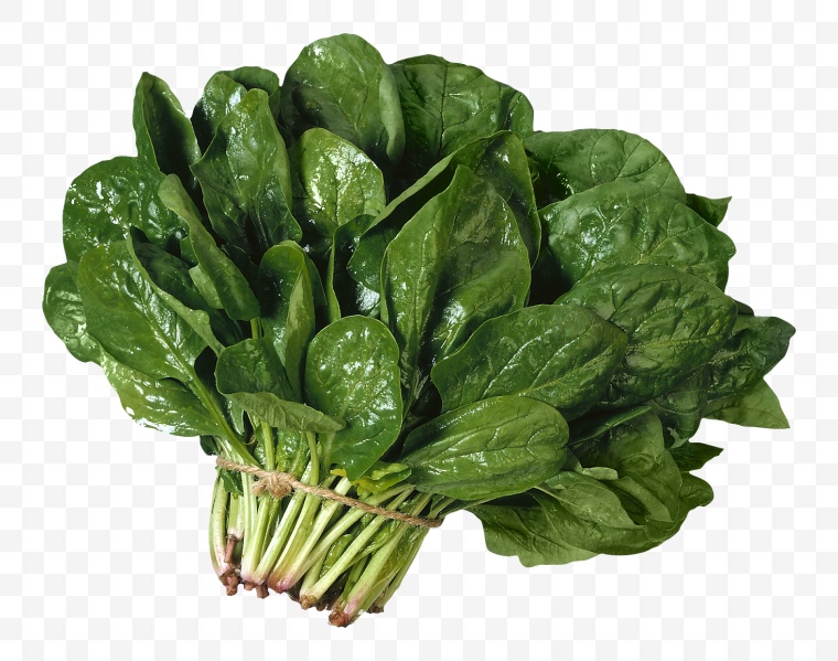 青菜 蔬菜 绿色蔬菜 有机蔬菜 食材 食物原料 食物 菜 