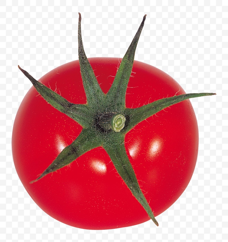 西红柿 番茄 蔬菜 新鲜蔬菜 食材 原料食材 食物 