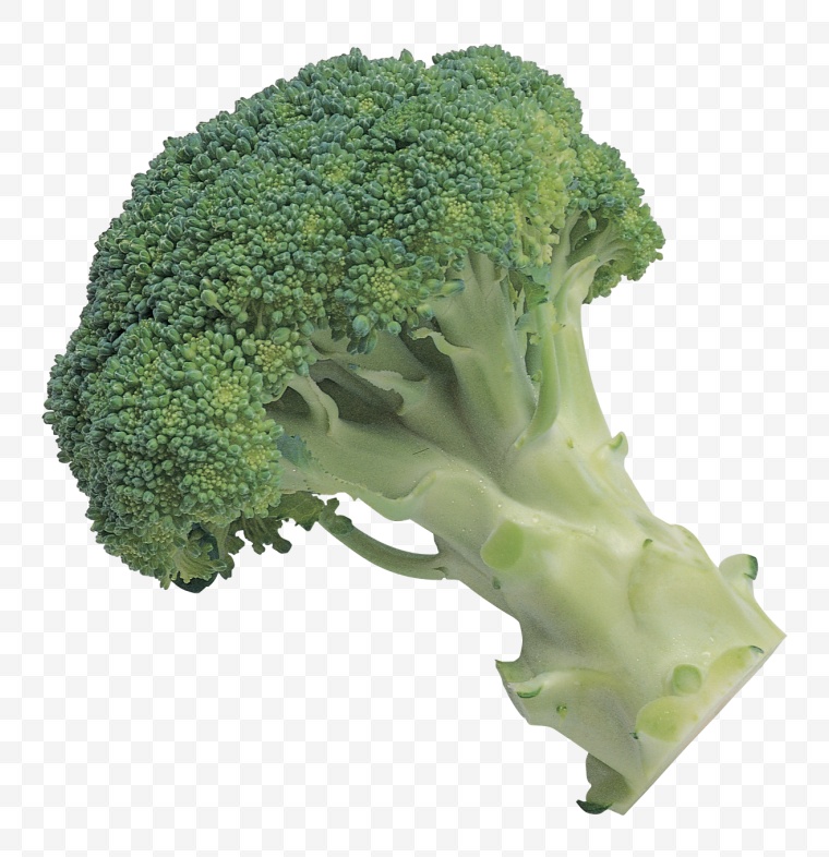西兰花 时蔬 绿色蔬菜 蔬菜 食材 食材原料 食物 