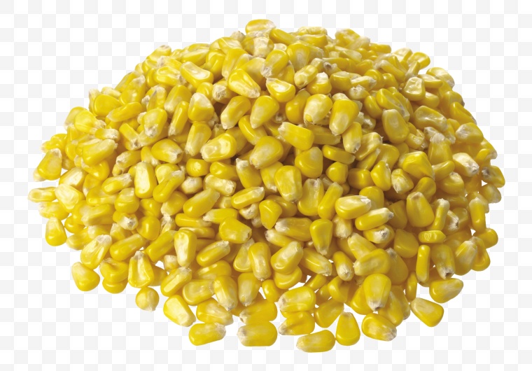 玉米 玉米粒 食物 食物原料 