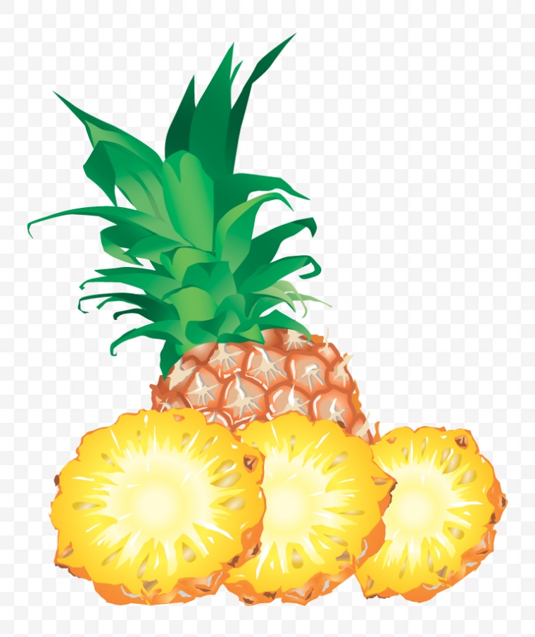 菠萝 凤梨 热带水果 水果 菠萝片 
