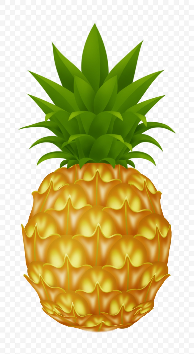 菠萝 凤梨 热带水果 水果 