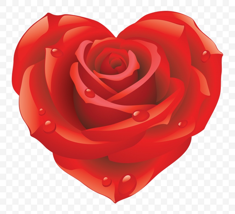 红色玫瑰花 玫瑰花 花 红玫瑰 玫瑰 情人节 爱情 浪漫 