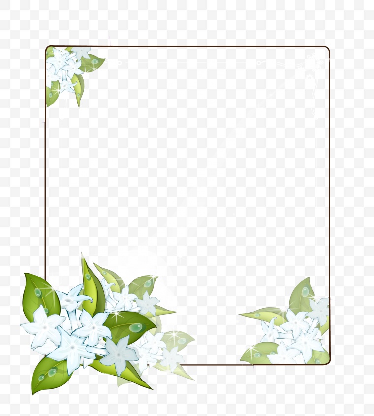 白色的花 花 白花 边框 花框 