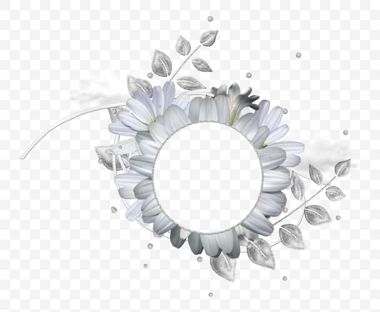 白色的花 花 白花 边框 花框 