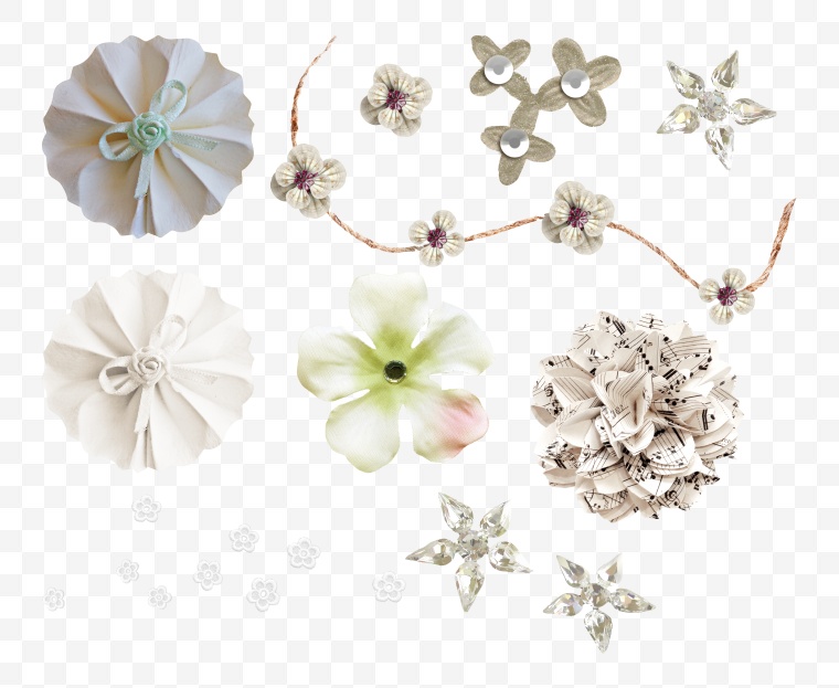 白色的花 花 白花 