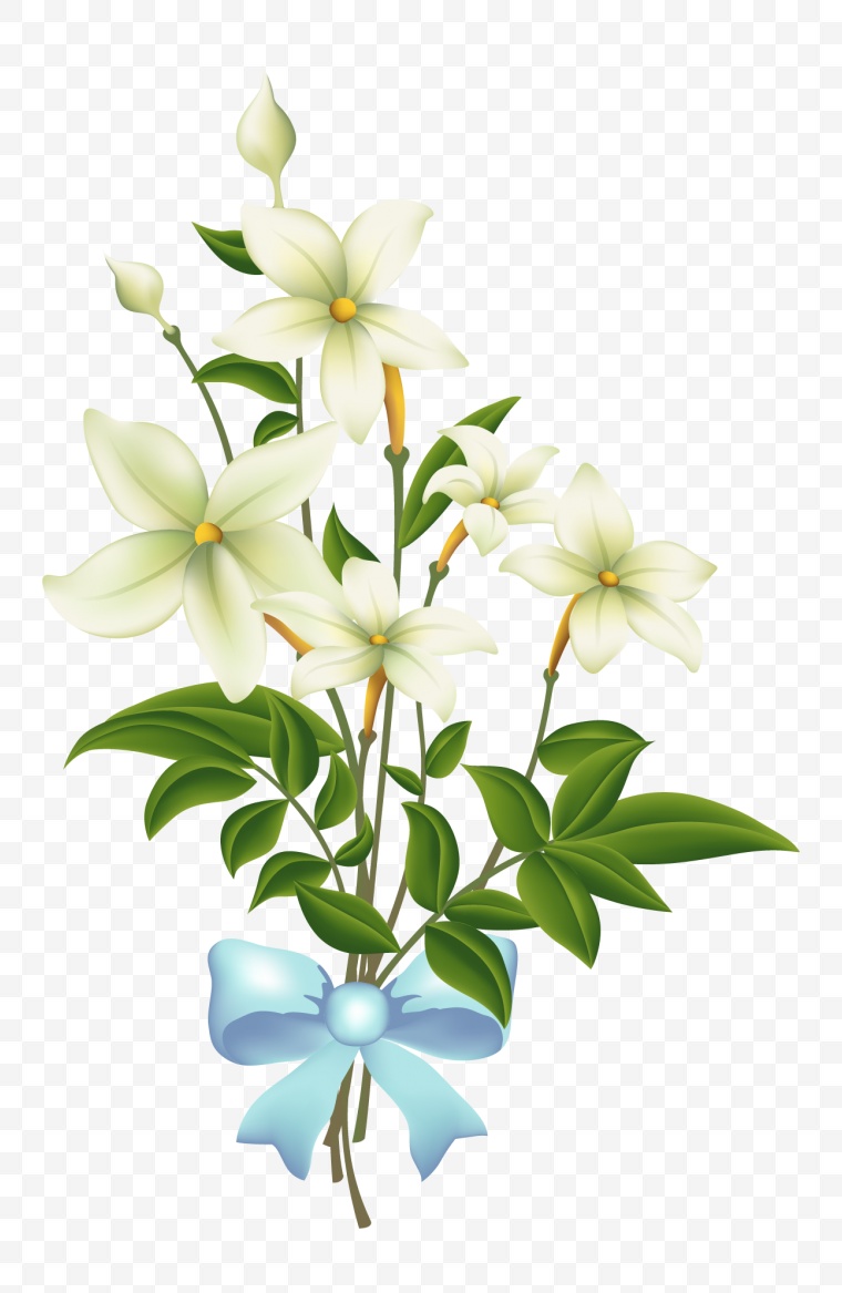 白色的花 花 白花 