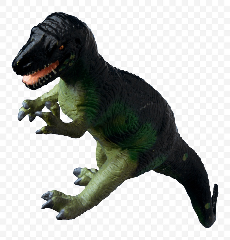 恐龙 动物 恐龙化石 远古生物 