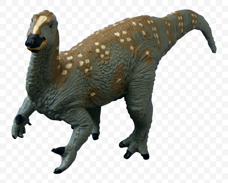 恐龙 动物 恐龙化石 远古生物 