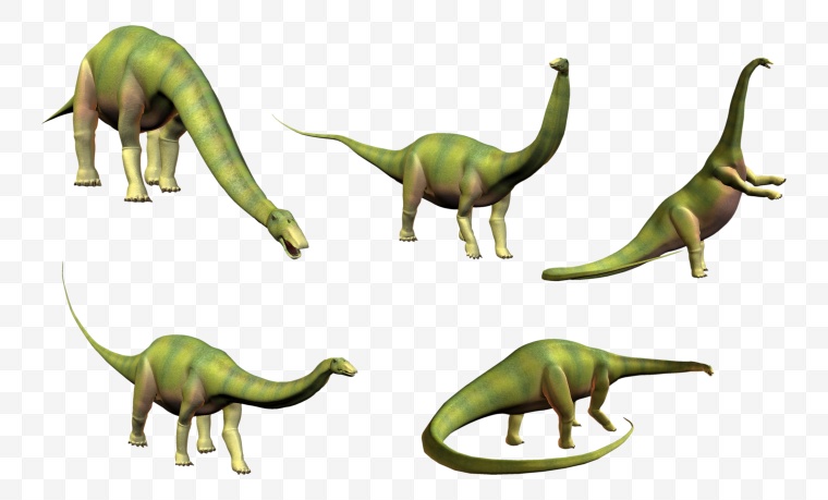 恐龙 动物 远古生物 