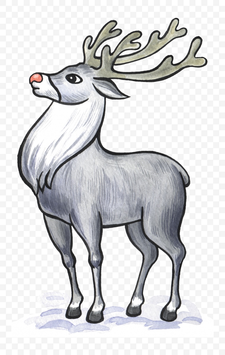 鹿 动物 小鹿 野生动物 卡通鹿 卡通动物 卡通 