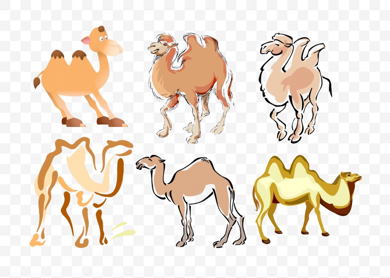 骆驼 动物 沙漠骆驼 野生动物 卡通骆驼 卡通动物 卡通 