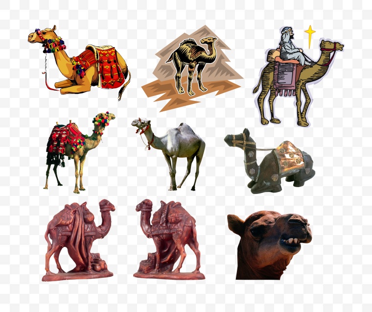 骆驼 动物 沙漠骆驼 野生动物 卡通骆驼 卡通动物 卡通 