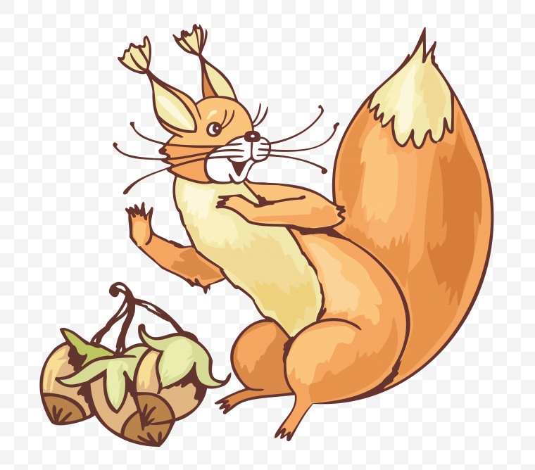 松鼠 动物 小松鼠 卡通松鼠 卡通动物 卡通 