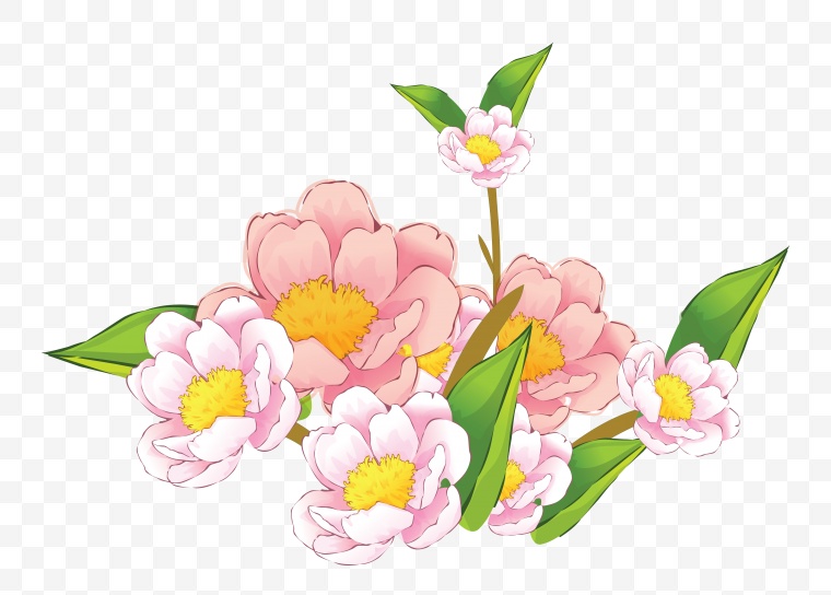 粉红色的花朵 花 