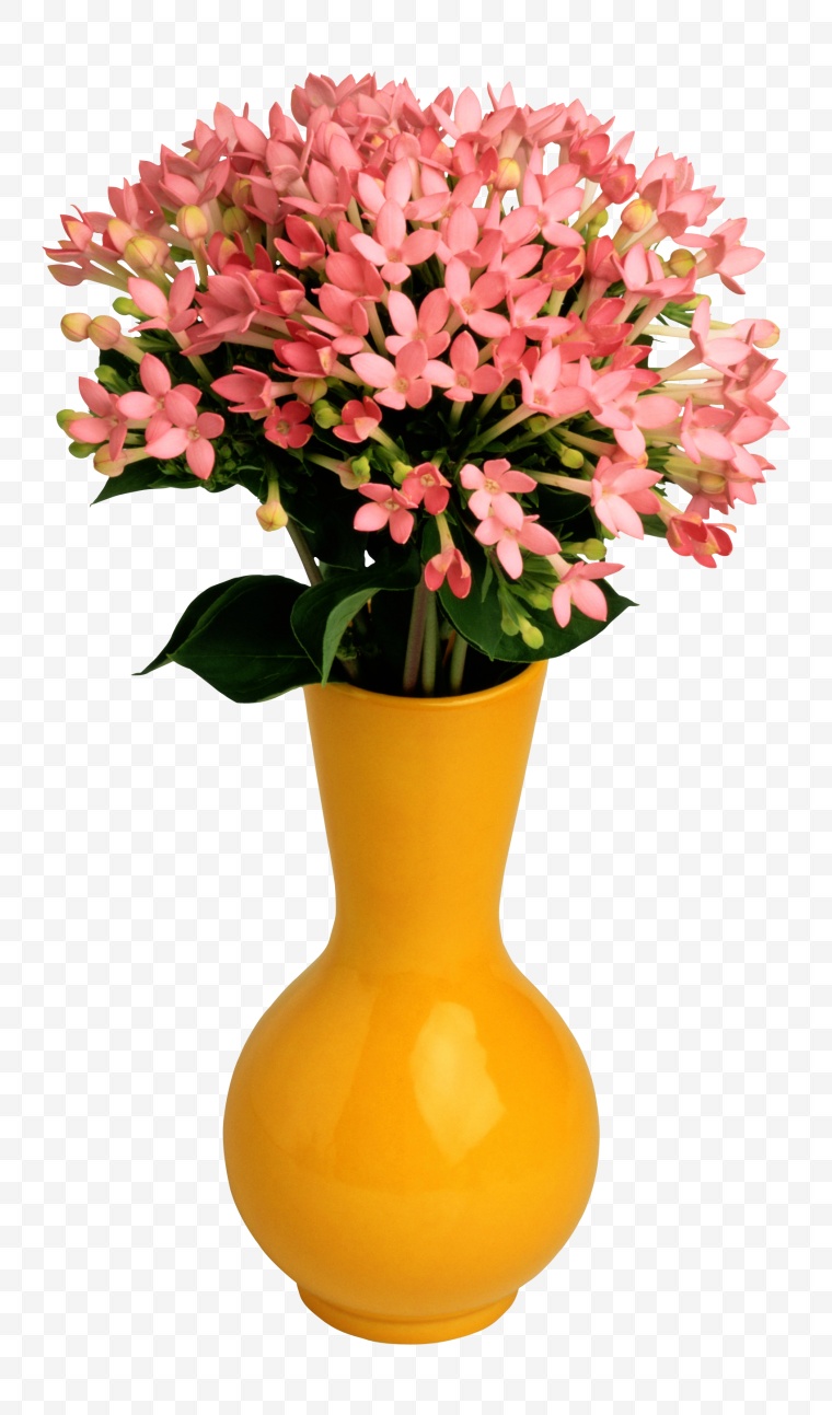 粉红色的花朵 花瓶 花 