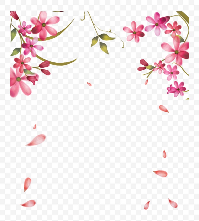粉红色的花朵 花框 花 