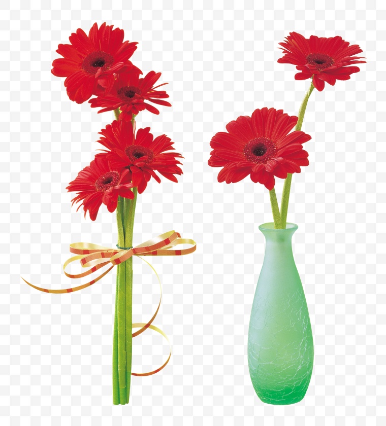 红色的花朵 花 花瓶 