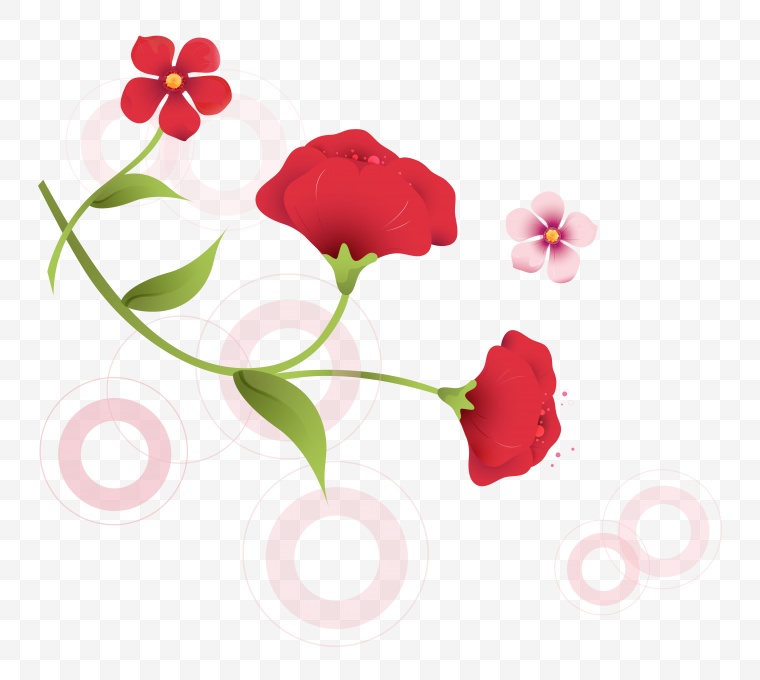 红色的花朵 花 