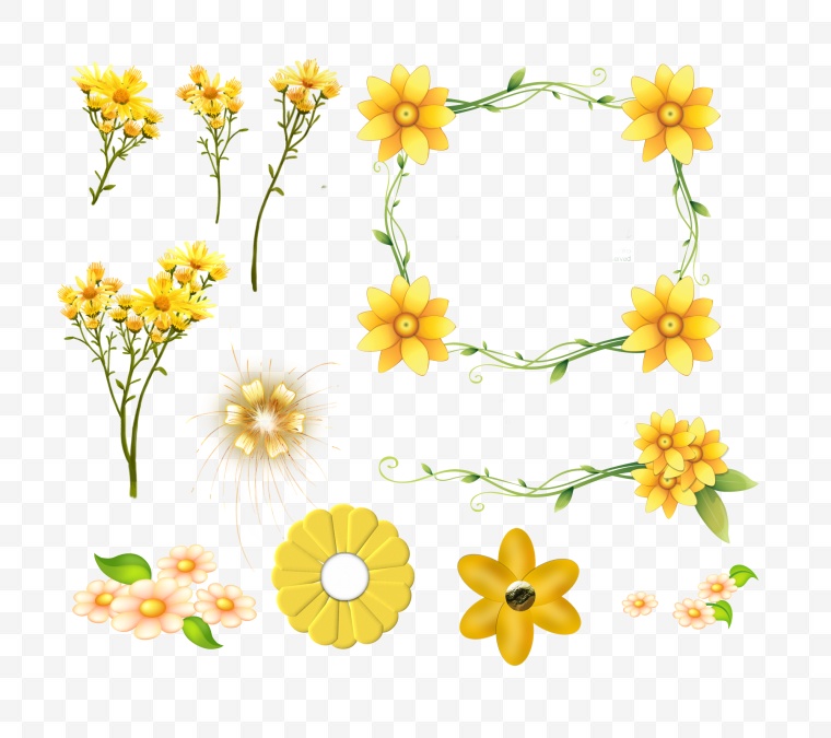 黄色的花 花 