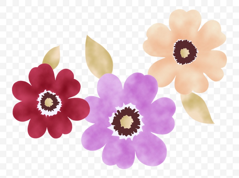 五颜六色的花 花 