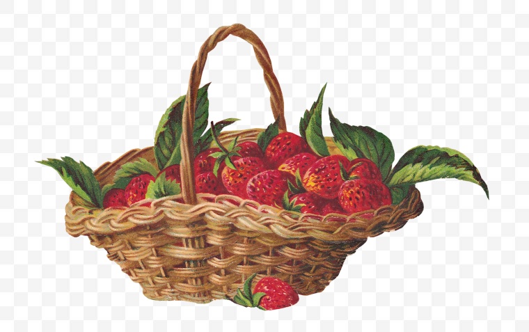 草莓 水果 