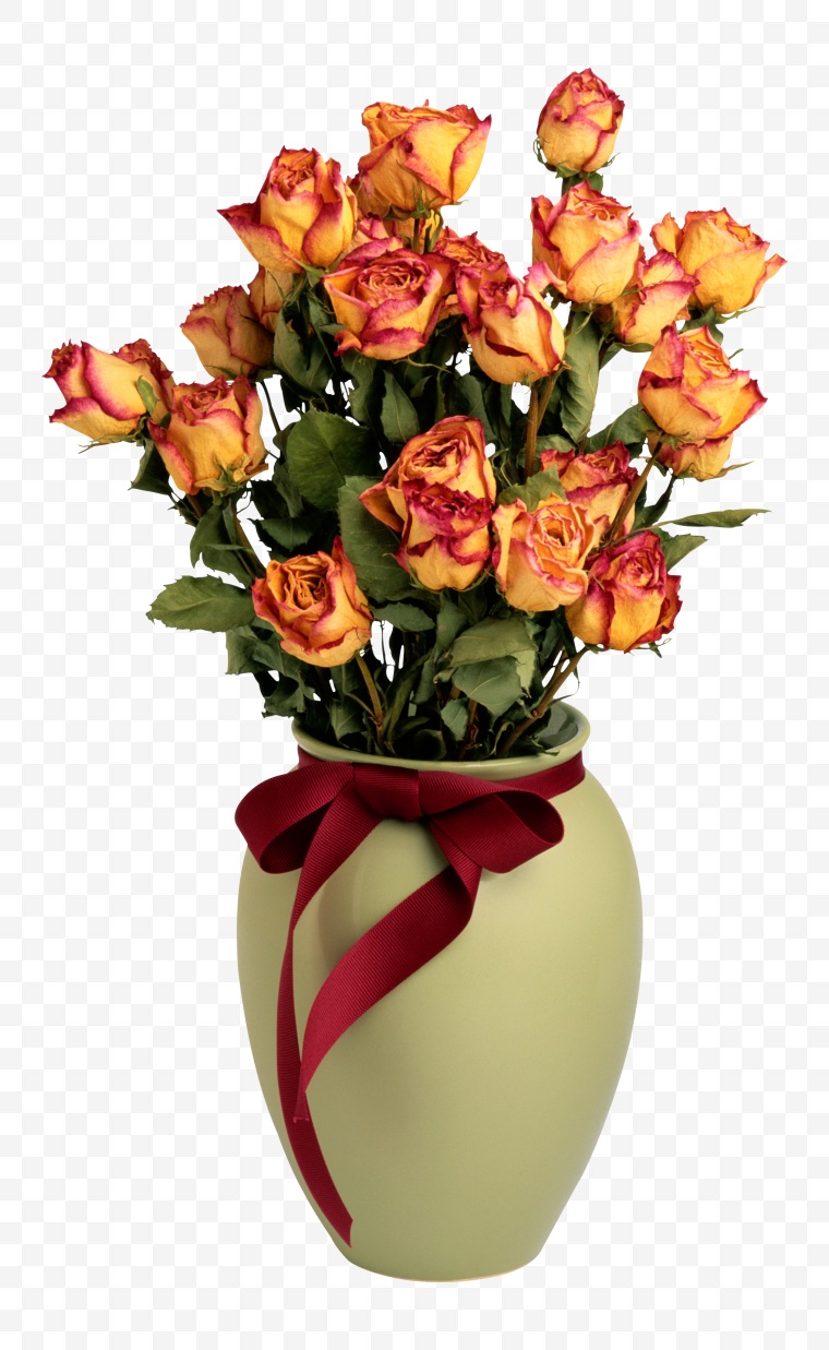 橙色的玫瑰 玫瑰花 花 花瓶 