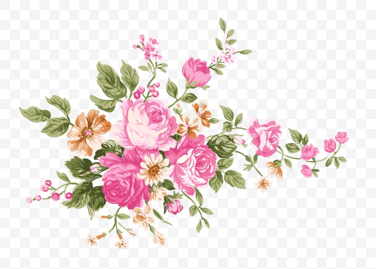 粉色的玫瑰 花束 花 