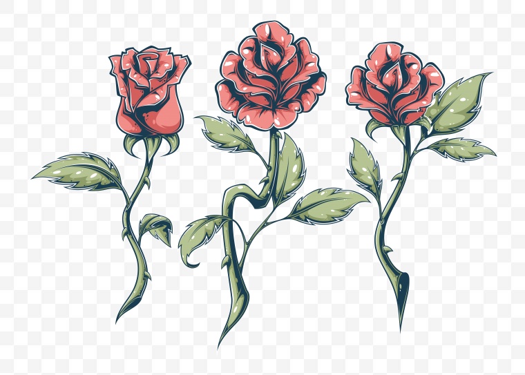 红色的玫瑰花 花 