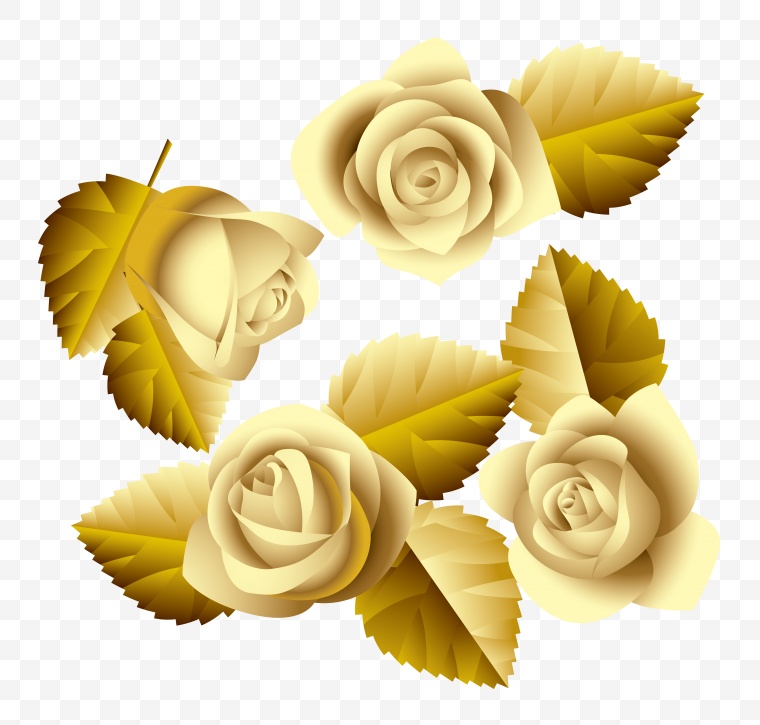 黄玫瑰 花 