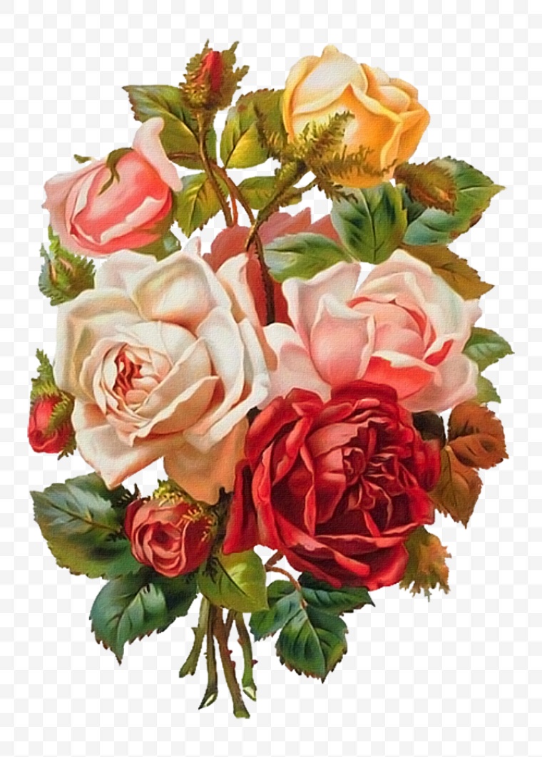 五彩玫瑰 花 花束 