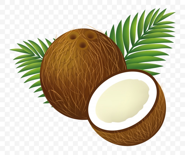 椰子 水果 