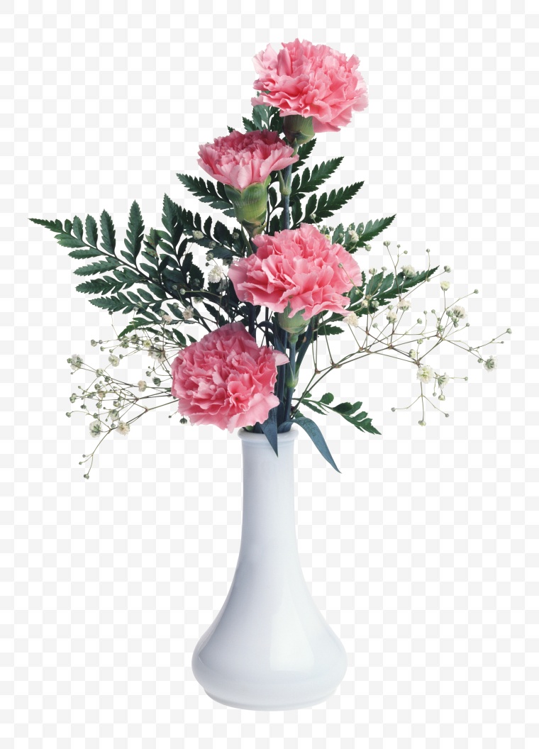 香石竹 康乃馨 花 花瓶 
