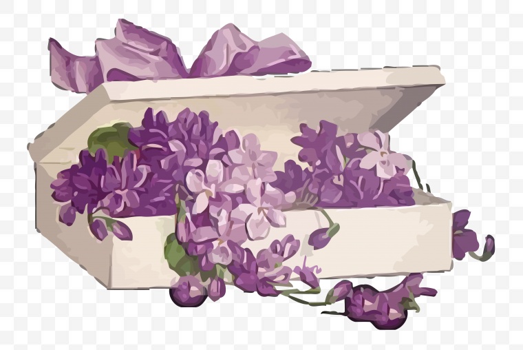 紫罗兰 花 礼盒 