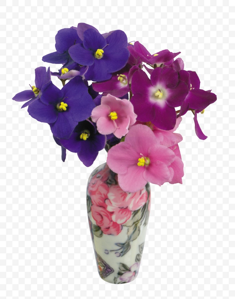 紫罗兰 花 花瓶 