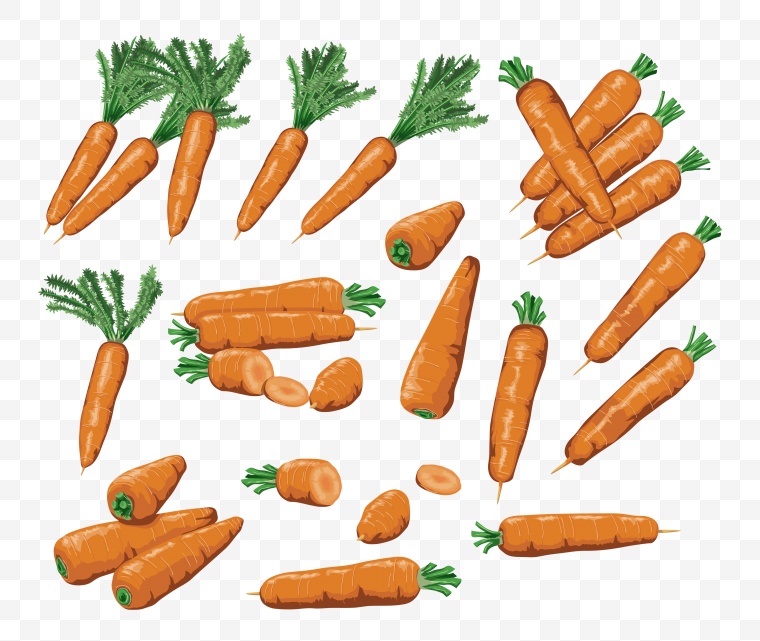 胡萝卜 蔬菜 
