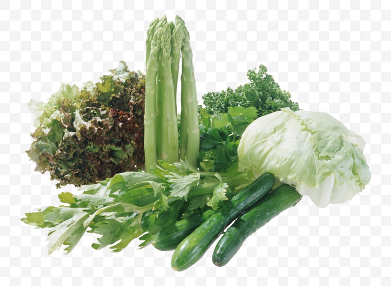 绿色蔬菜 空心菜 苋菜 
