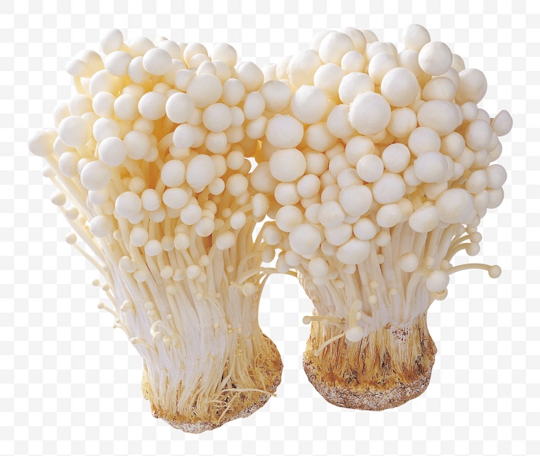 蘑菇 金针菇 