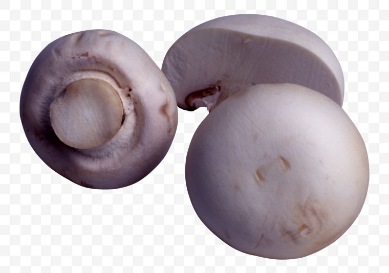 蘑菇 双孢菇 